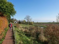 NL, Gelderland, Renkum, SW of Oosterbeek 1, Saxifraga-Tom Heijnen