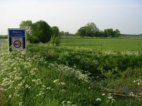 NL, Gelderland, Rheden, Hof te Rheden 16, Saxifraga-Henk Sierdsema