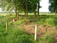 NL, Gelderland, Rheden, Hof te Rheden 18, Saxifraga-Henk Sierdsema