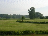 NL, Gelderland, Rheden, Hof te Rheden 26, Saxifraga-Henk Sierdsema