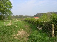 NL, Gelderland, Rheden, Hof te Rheden 9, Saxifraga-Henk Sierdsema