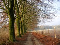 NL, Gelderland, Rheden, Middachten 4, Saxifraga-Henk Sierdsema