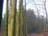 NL, Gelderland, Rheden, Middachten 6, Saxifraga-Henk Sierdsema