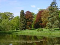 NL, Gelderland, Rheden, NP Veluwezoom 5, Saxifraga-Henk Sierdsema