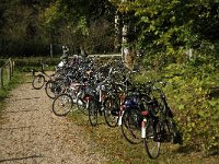 NL, Gelderland, Rheden, NP Veluwezoom, Herikhuizen 1, Saxifraga-Jan van der Straaten