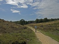 NL, Gelderland, Rheden, Rhedensche Heide 22, Saxifraga-Jan van der Straaten