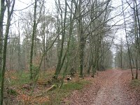 NL, Gelderland, Rheden, Schaddevelden 2, Saxifraga-Henk Sierdsema