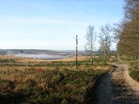 NL, Gelderland, Rozendaal, Imbosch 16, Saxifraga-Henk Sierdsema