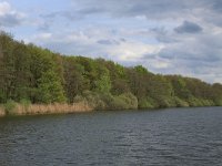 NL, Gelderland, Wijchen, Wijchensche Vennen 13, Saxifraga-Hans Boll