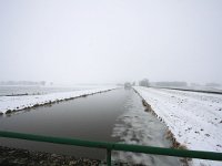 NL, Gelderland, Zutphen, Berkel 1, Saxifraga-Bart Vastenhouw