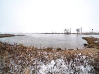 NL, Gelderland, Zutphen, IJssel 14, Saxifraga-Bart Vastenhouw