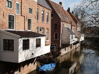 NL, Groningen, Eemsdelta, Appingedam 1, Saxifraga-Hans Dekker