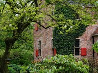 NL, Groningen, Eemsdelta, Loppersum, Westeremden 2, Saxifraga-Hans Dekker