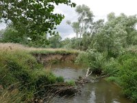 NL, Limburg, Gulpen-Wittem, Geul SE of Epen 2, Saxifraga-Tom Heijnen