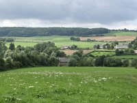 NL, Limburg, Gulpen-Wittem, Geul valley E of Volmolen 1, Saxifraga-Tom Heijnen