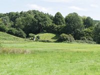 NL, Limburg, Gulpen-Wittem, Geul valley S of Partij 1, Saxifraga-Tom Heijnen