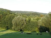 NL, Limburg, Gulpen-Wittem, Geul valley SE of Plaat 1, Saxifraga-Tom Heijnen