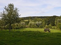 NL, Limburg, Gulpen-Wittem, Geul valley near Epen 1, Saxifraga-Tom Heijnen