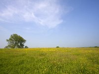 NL, Limburg, Gulpen-Wittem, Geuldal 13, Saxifraga-Bart Vastenhouw