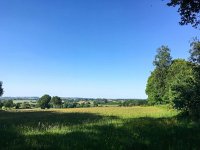 NL, Limburg, Gulpen-Wittem, Geuldal 17, Saxifraga-Bart Vastenhouw