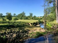 NL, Limburg, Gulpen-Wittem, Geuldal 20, Saxifraga-Bart Vastenhouw