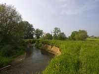 NL, Limburg, Gulpen-Wittem, Geuldal 7, Saxifraga-Bart Vastenhouw