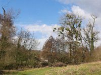 NL, Limburg, Gulpen-Wittem, Gulp valley N of Slenaken 4, Saxifraga-Tom Heijnen