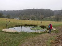 NL, Limburg, Gulpen-Wittem, near Schweibergerbos 1, Saxifraga-Tom Heijnen