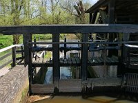 NL, Limburg, Leudal, Leumolen 1, Saxifraga-Tom Heijnen