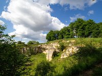 NL, Limburg, Maastricht, Sint Pietersberg 5, Saxifraga-Bart Vastenhouw