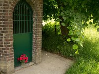 NL, Limburg, Maastricht, Sint Pietersberg 7, Saxifraga-Bart Vastenhouw