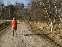 NL, Limburg, Nederweert, Groote Peel 21, Saxifraga-Jan van der Straaten