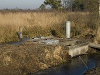 NL, Limburg, Nederweert, Groote Peel 24 Saxifraga-Jan van der Straaten