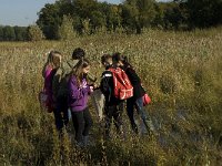 NL, Limburg, Nederweert, Weerterbosch 3, Saxifraga-Jan van der Straaten