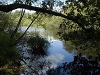 NL, Limburg, Roerdalen, Turfkoelen 10, Saxifraga-Marijke Verhagen