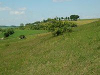 NL, Limburg, Voerendaal, Vrakelberg 11, Saxifraga-Willem van Kruijsbergen