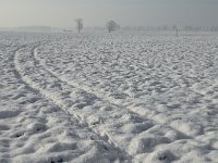 NL, Noord-Brabant, Alphen-Chaam, Bleeke Heide 9, Saxifraga-Jan van der Straaten