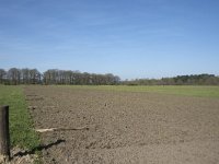 NL, Noord-Brabant, Alphen-Chaam, De Hoevens 1, Saxifraga-Willem van Kruijsbergen