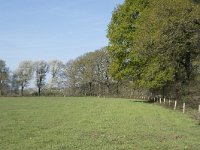 NL, Noord-Brabant, Alphen-Chaam, De Hoevens 11, Saxifraga-Willem van Kruijsbergen