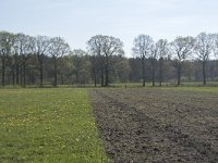 NL, Noord-Brabant, Alphen-Chaam, De Hoevens 23, Saxifraga-Willem van Kruijsbergen