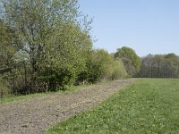 NL, Noord-Brabant, Alphen-Chaam, De Hoevens 25, Saxifraga-Willem van Kruijsbergen