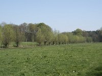 NL, Noord-Brabant, Alphen-Chaam, De Hoevens 28, Saxifraga-Willem van Kruijsbergen