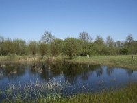 NL, Noord-Brabant, Alphen-Chaam, De Hoevens 31, Saxifraga-Willem van Kruijsbergen