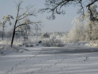 NL, Noord-Brabant, Alphen-Chaam, Goudberg 1, Saxifraga-Jan van der Straaten