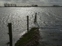 NL, Noord-Brabant, Altena, Braspenning 5, Saxifraga-Jan van der Straaten