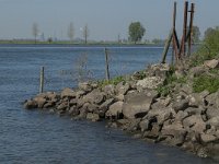 NL, Noord-Brabant, Altena, Capelse Veer 6, Saxifraga-Jan van der Straaten