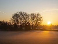 Polder in Dutch Biesbosch National Park covered by fog during sunrise  Polder in Dutch Biesbosch National Park covered by fog during sunrise : Biesbosch National Park, Biesbosch, national park, np, dutch, holland, Netherlands, Europe, European, polder, grass, grassland, rural, rural landscape, non-urban scene, rural scene, outside, outdoors, nobody, no people, sky, pasture, agriculture, agricultural, meadow, winter, wintertime, tree, trees, blue sky, north brabant, sunrise, dawn, early morning, sun, cold colors, silhouette, silhoutted