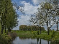 NL, Noord-Brabant, Altena, Fort Bakkerskil 8, Saxifraga-Jan van der Straaten