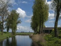 NL, Noord-Brabant, Altena, Fort Bakkerskil 9, Saxifraga-Jan van der Straaten