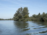 NL, Noord-Brabant, Altena, Gat van den Hardenhoek 4, Saxifraga-Willem van Kruijsbergen